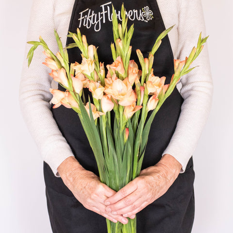 Mini Gladiolus Peach Wholesale Flowers in Hands