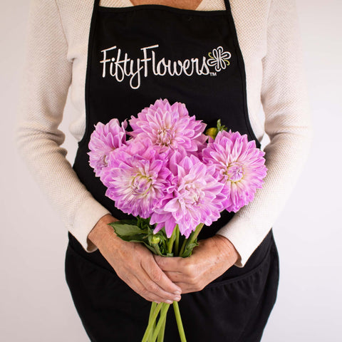 Misty Mountain Dinner Plate Dahlia Flower Bunch in Hand