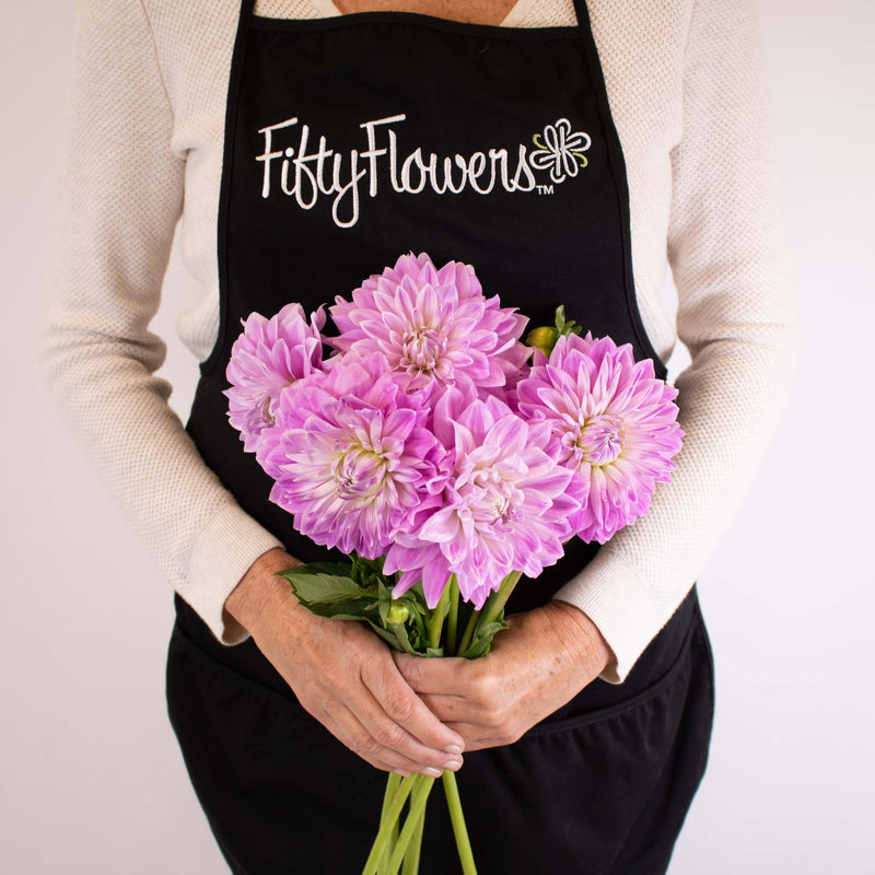 Misty Mountain Dinner Plate Dahlia Flower Bunch in Hand