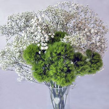 Mojito Mix DIY Flower Kit In a Vase