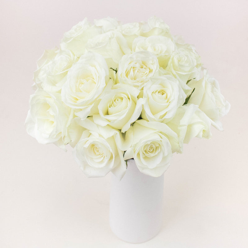 Mojito White Roses in a Vase
