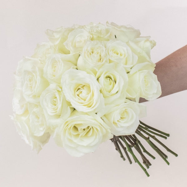 Mojito White Roses in a Hand