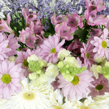 Monochromatic Lavender Combo DIY Flower Kit Up Close
