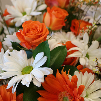 Monochromatic Orange DIY Flower Kit Up Close