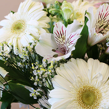 Monochromatic White DIY Flower Kit Up Close