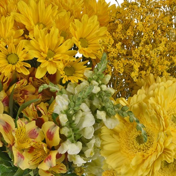 Monochromatic Yellow DIY Flower Kit Up Close