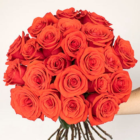 Mysterious Moonlight Orange Roses Arrangements