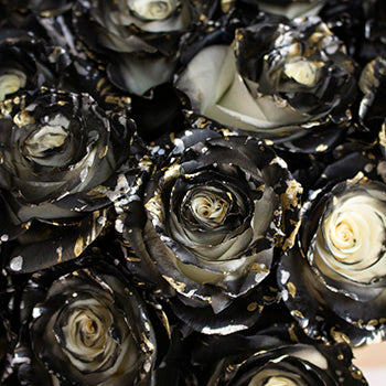 Midnight Kiss Black Tinted Roses