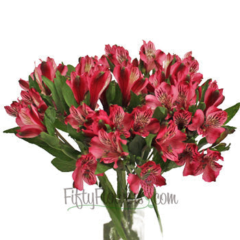 Cupido Pink alstroemeria Wholesale Flower In a vase