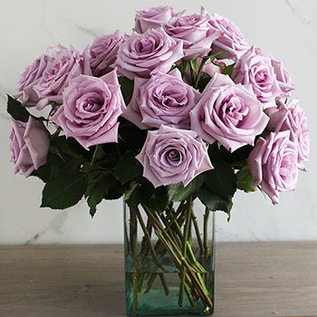 Ocean Song Roses for You