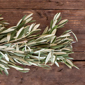 Olive Greens Garland