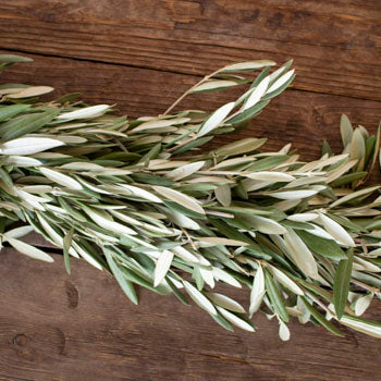 Olive Greens Garland