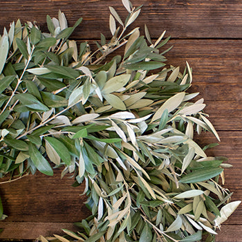 Prime Deal Olive Branch Wreath