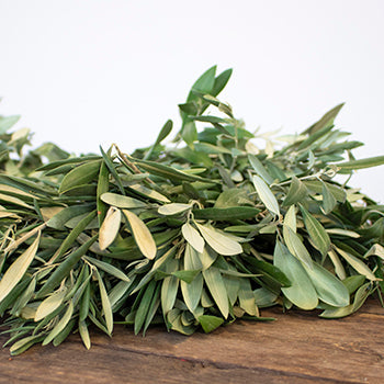 Prime Deal Olive Branch Wreath