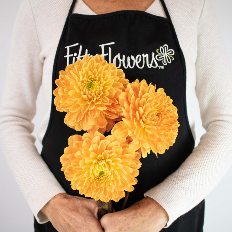 Orange Bulk Dahlias Flower Bunch in Hand