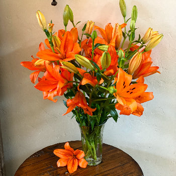 Classic Mothers Day Lillies