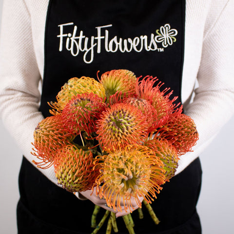 Orange Pin Cushion Flower Bunch in Hand