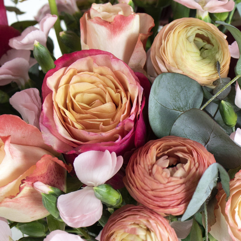 Romantic Orange and Pink Wholesale Flowers In a Hand