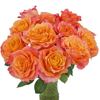 Orange Sherbet Garden Wholesale Roses In a vase
