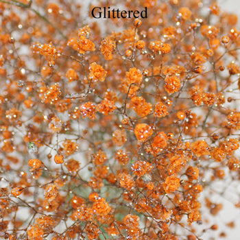 Orange Airbrushed Baby's Breath