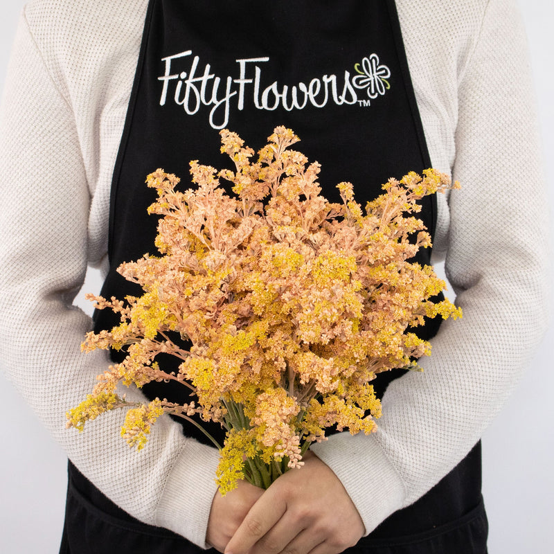 Orange Solidago Flowers Bunch in Hand