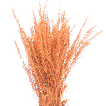 Orange Airbrushed Sage