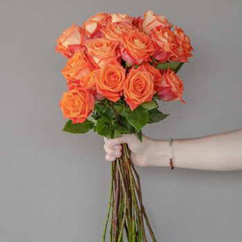 Wholesale Orange Martini Bulk Roses