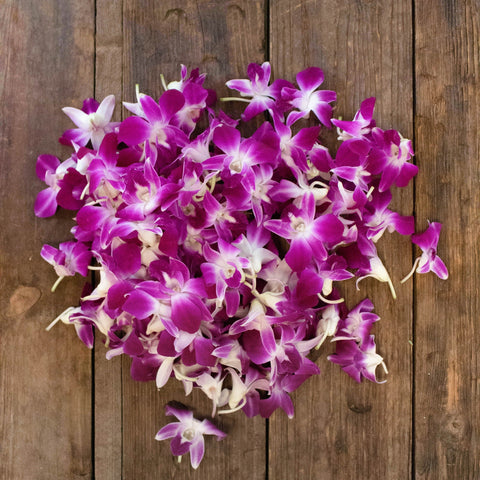 Orchids Bombay Wholesale Flower On a Table