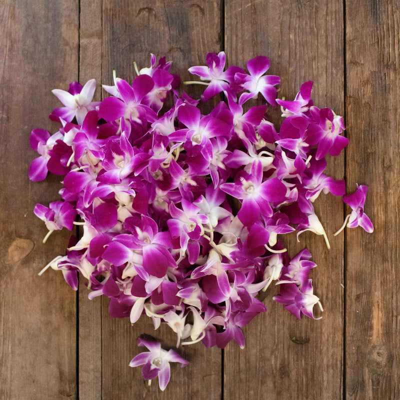 Orchids Bombay Wholesale Flower On a Table