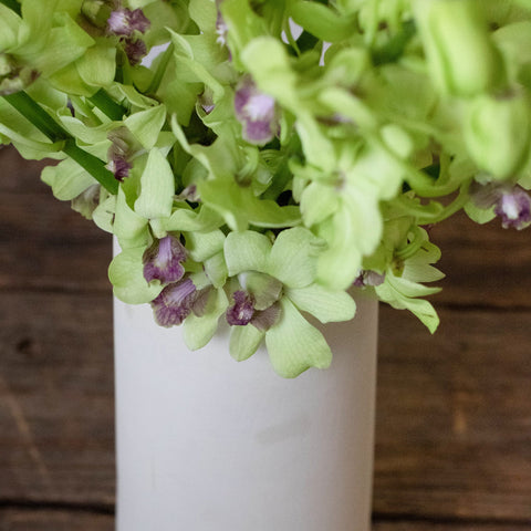 Orchids Green Wholesale Flowers In a Vase