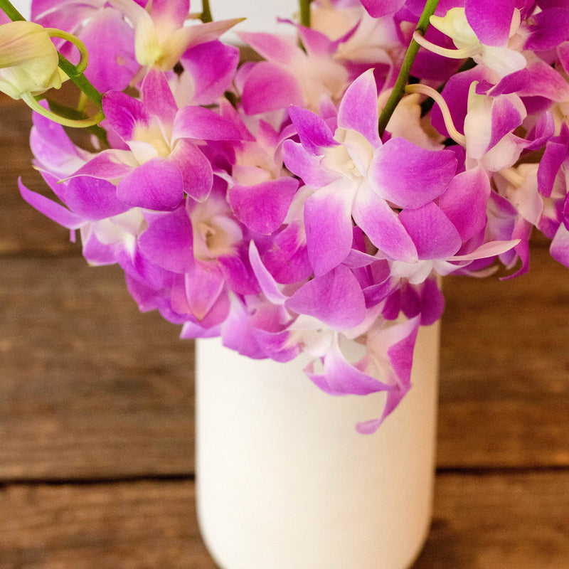 Orchids Pinky Lavender Wholesale flower In a Vase
