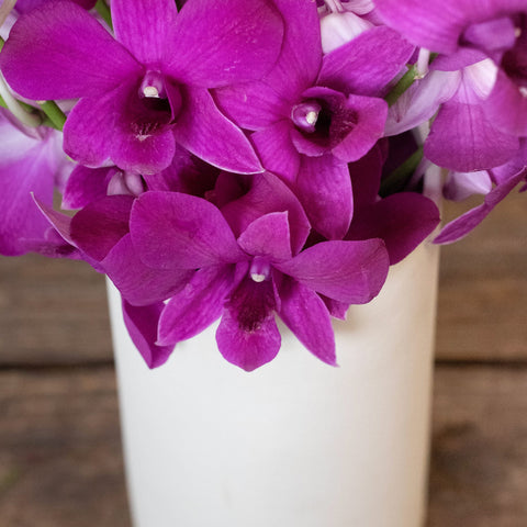 Orchids Purpleberry Wholesale Flowers In a Vase