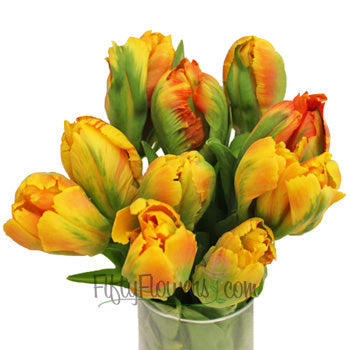 Overig Yellow and Red Parrot Tulip Wholesale Flower In a vase