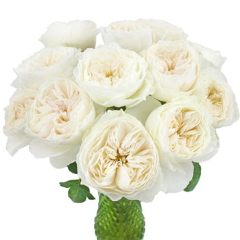 Paper White Garden Wholesale Roses In a vase