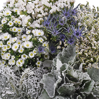 Papier Mache Textured Filler DIY Flower Kit Up Close