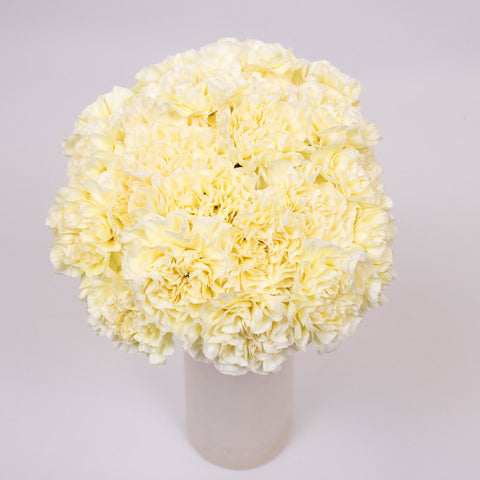 Pastel Yellow Wholesale Carnation Flower Bunch in Vase