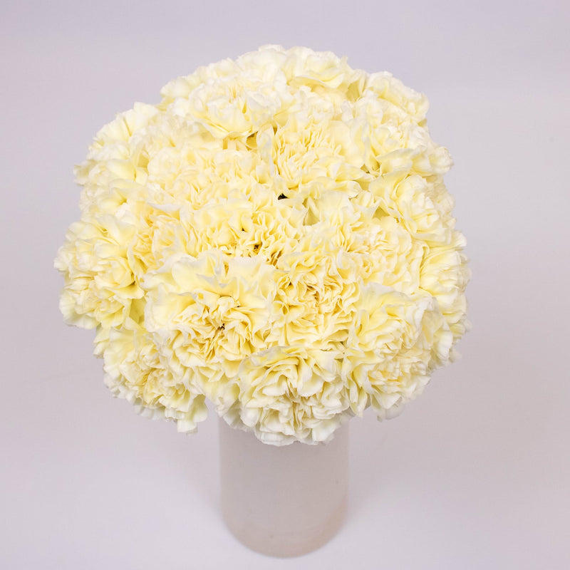 Pastel Yellow Wholesale Carnation Flower Bunch in Vase