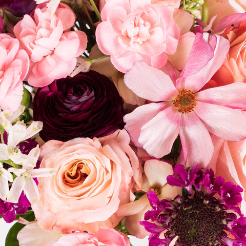 Peach DIY Flower Combo Up Close