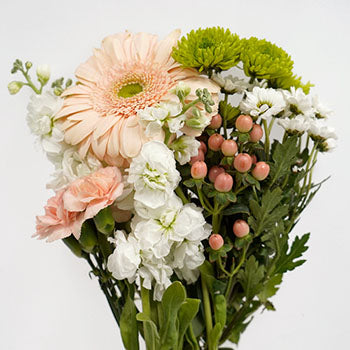 Peach Perfection DIY Flower Kit Up Close