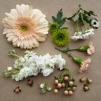 Peach Perfection DIY Flower Kit In a Vase