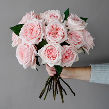 Perfect Pink Garden Wholesale Rose Bunch in a hand