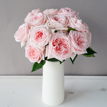 Perfect Pink Garden Wholesale Roses In a vase
