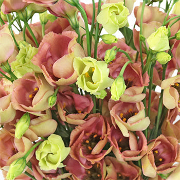 Ready To Go Wholesale Centerpieces Card