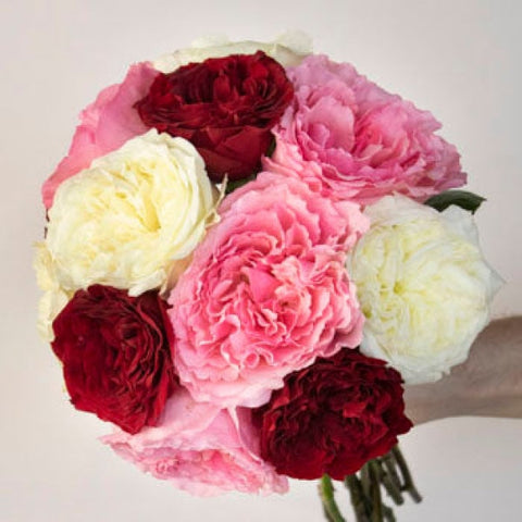 Fresh cut mayra garden roses in a red, white, and pink floral bouquet