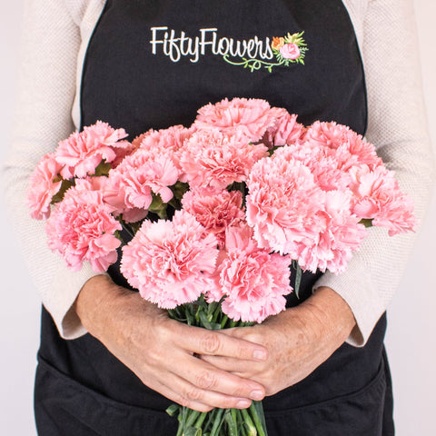 Pink Carnation Flower Bunch in Hand
