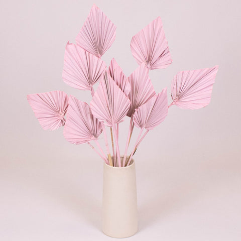 Light Pink Dried Palm Spears in Vase