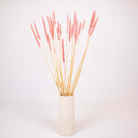 Pink Dried Thypa Flower Bunch in Vase