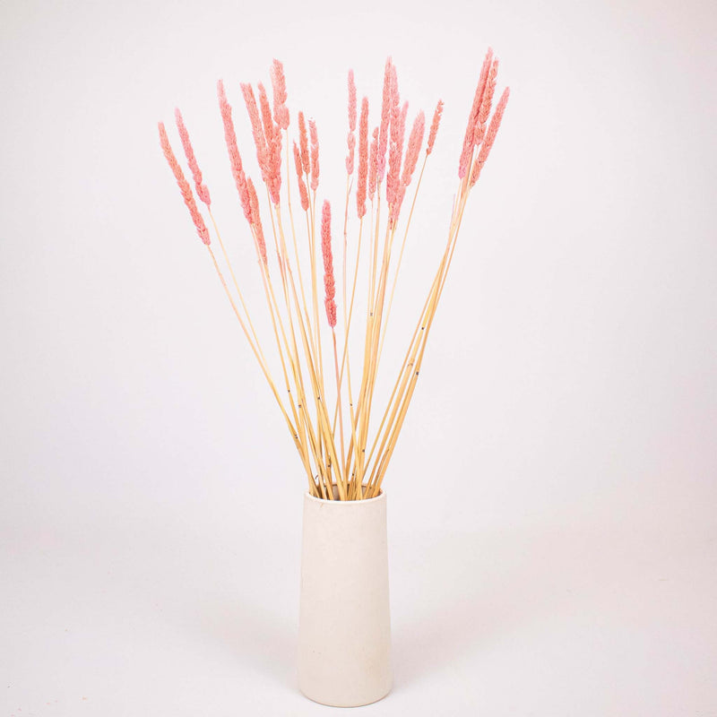 Pink Dried Thypa Flower Bunch in Vase