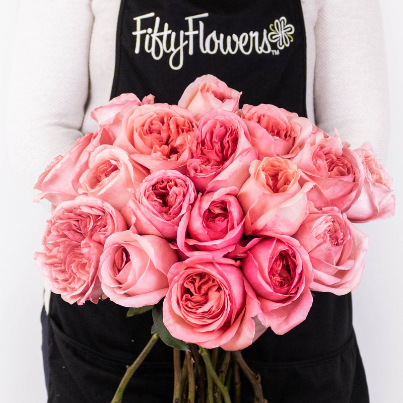 Pink Expression Garden Roses in Hand
