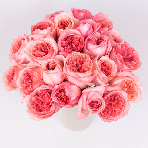 Pink Expression Garden Roses in Vase